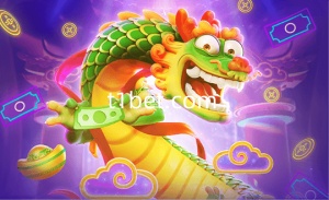 fortune dragon