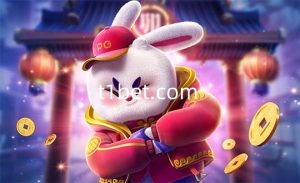 fortune rabbit